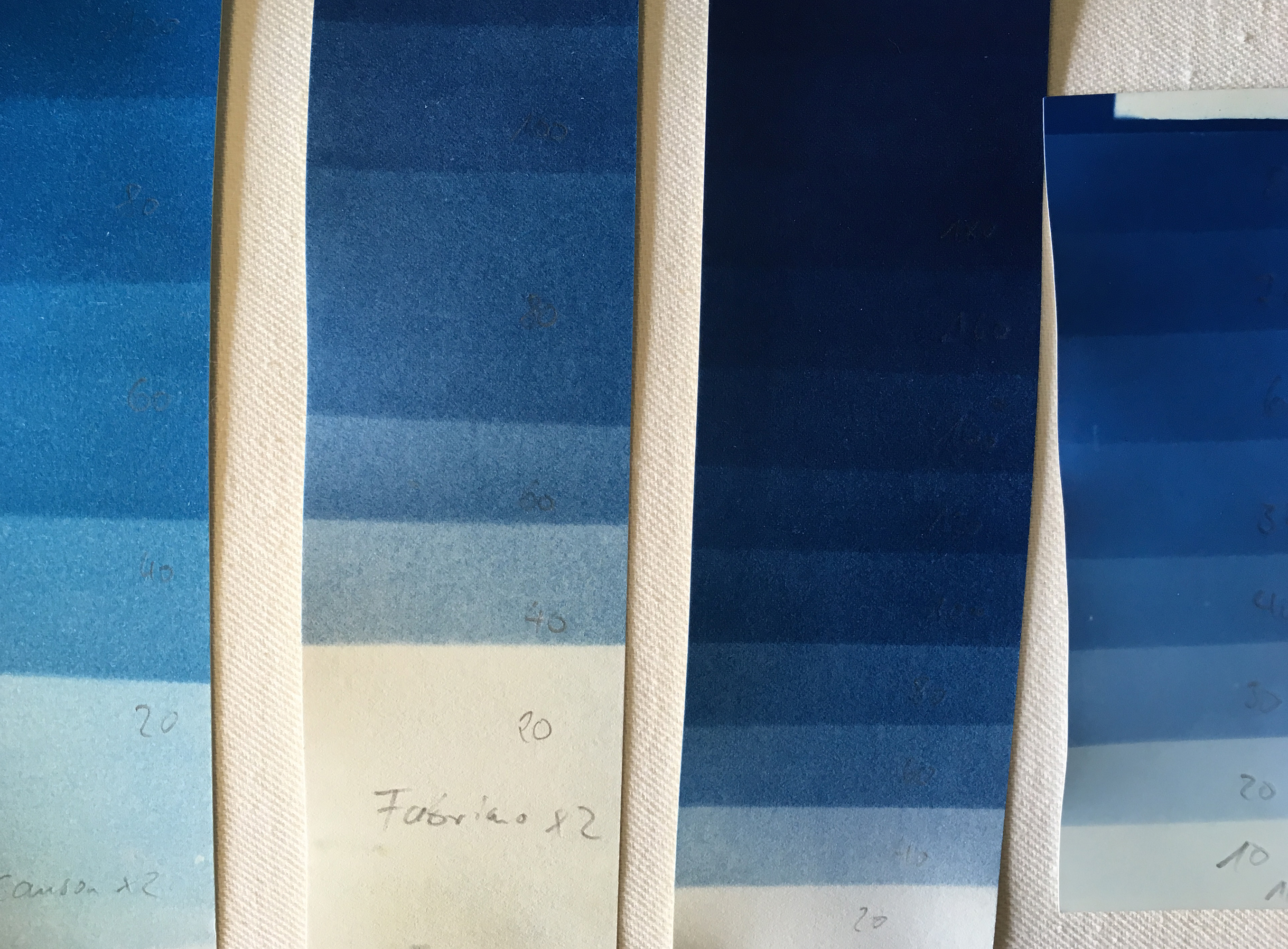 Cyanotypie Workshop Bauhaus-Universität Weimar 