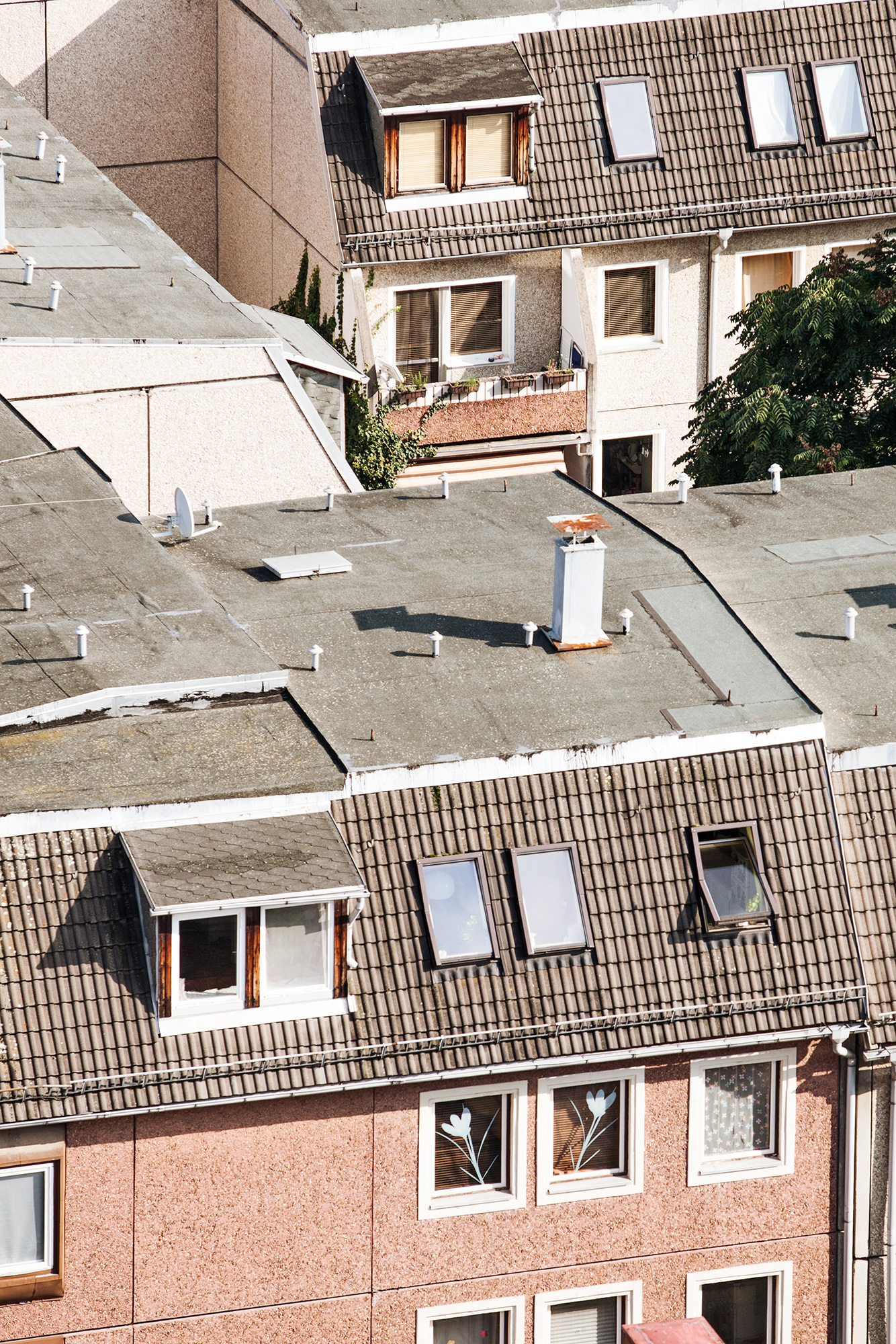 Serie Paradeisos, 2014, Jena, Jens Hauspurg 