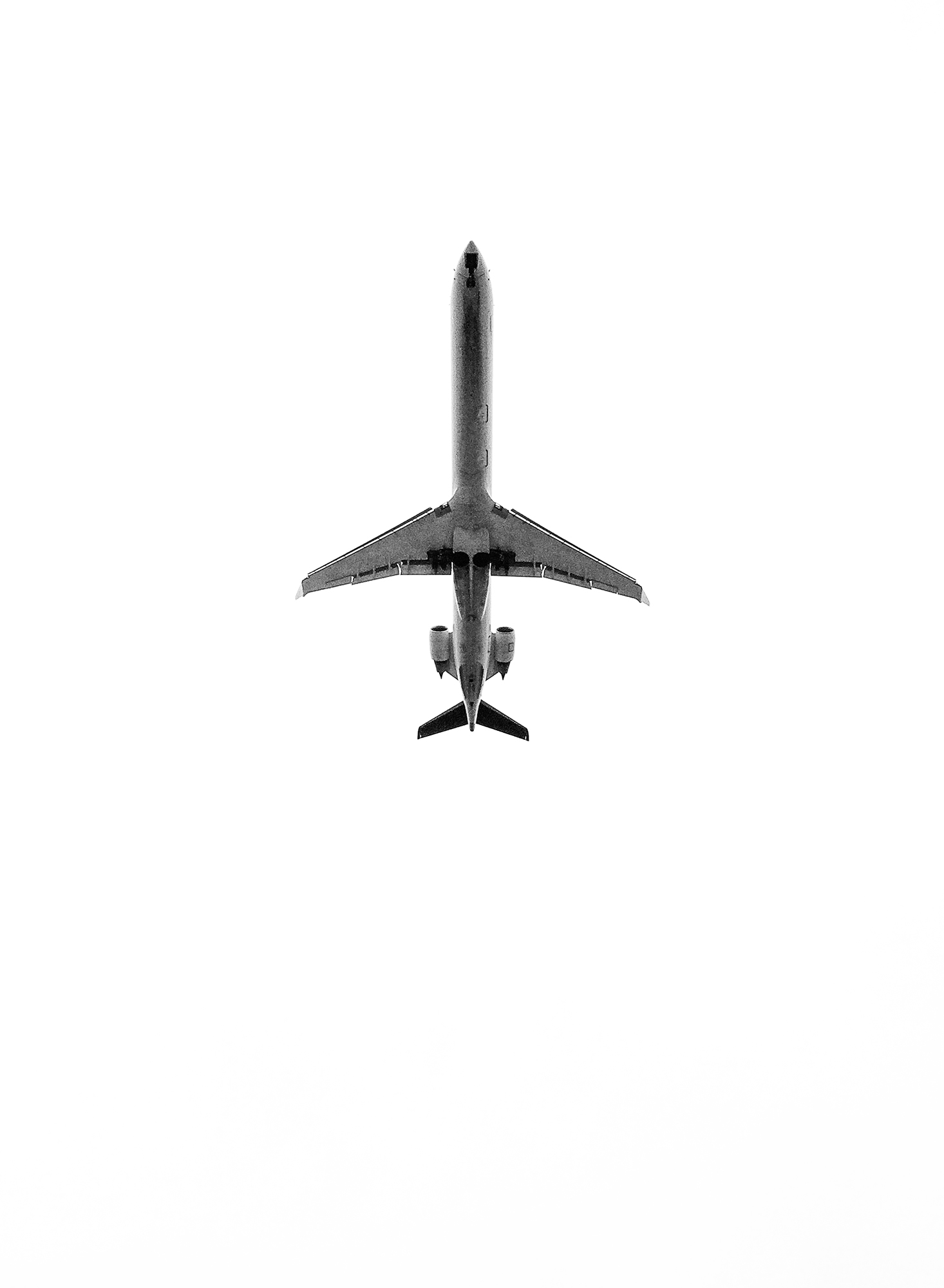 INTERIM — moderne ornithologie. 