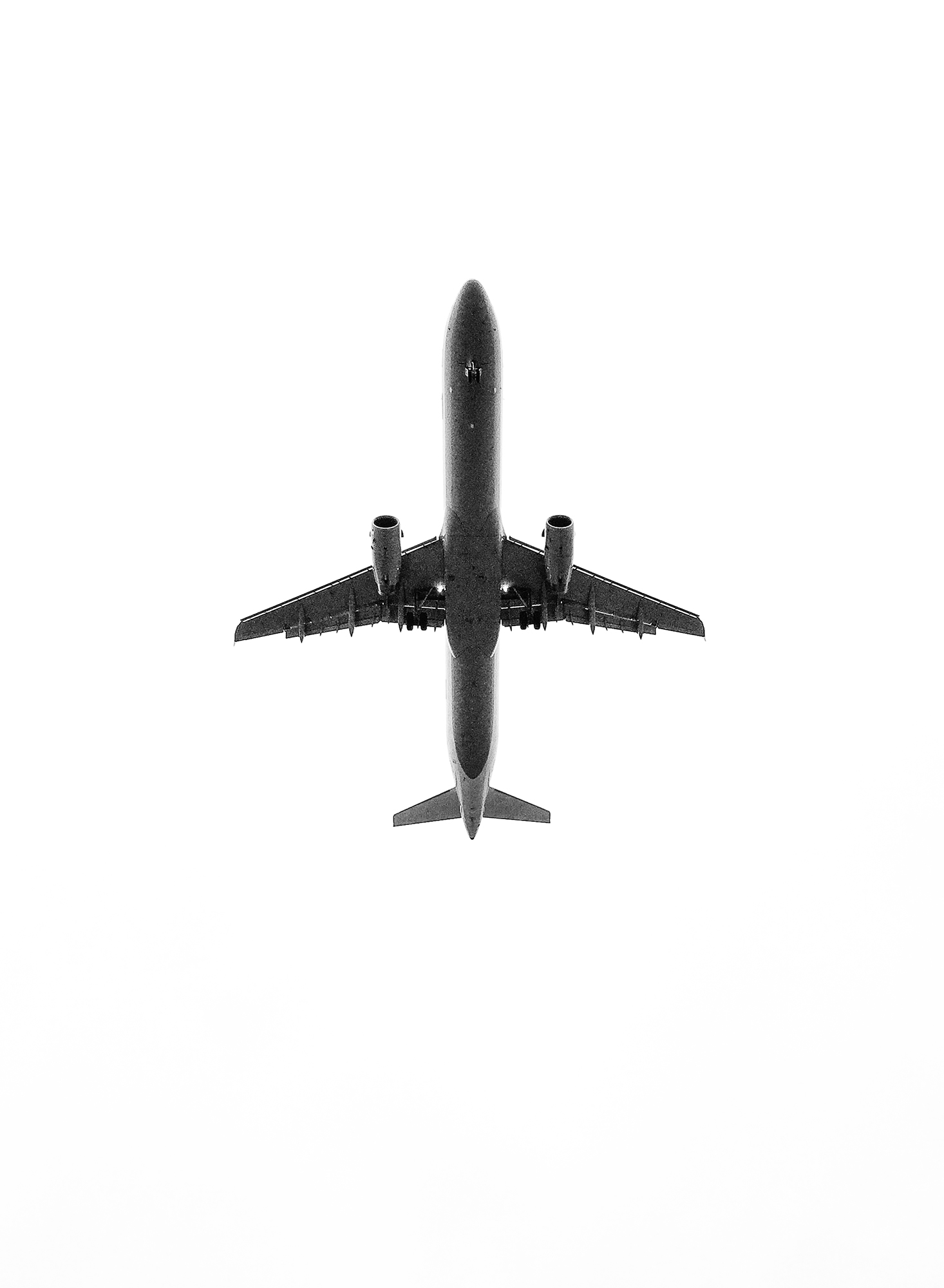 INTERIM — moderne ornithologie. 