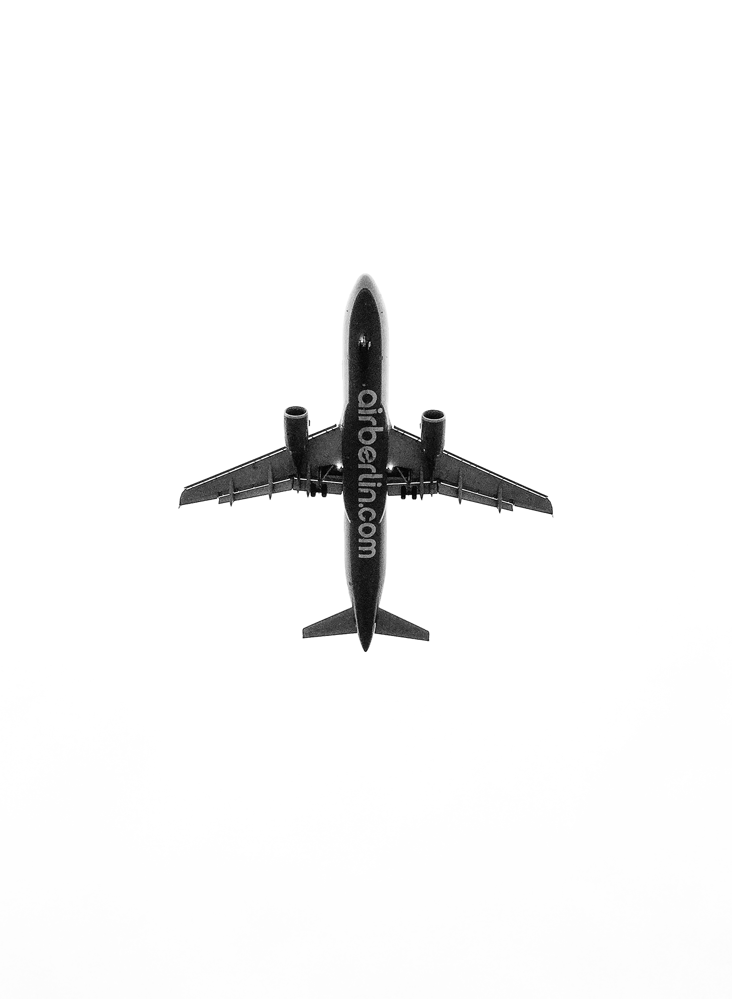 INTERIM — moderne ornithologie. 