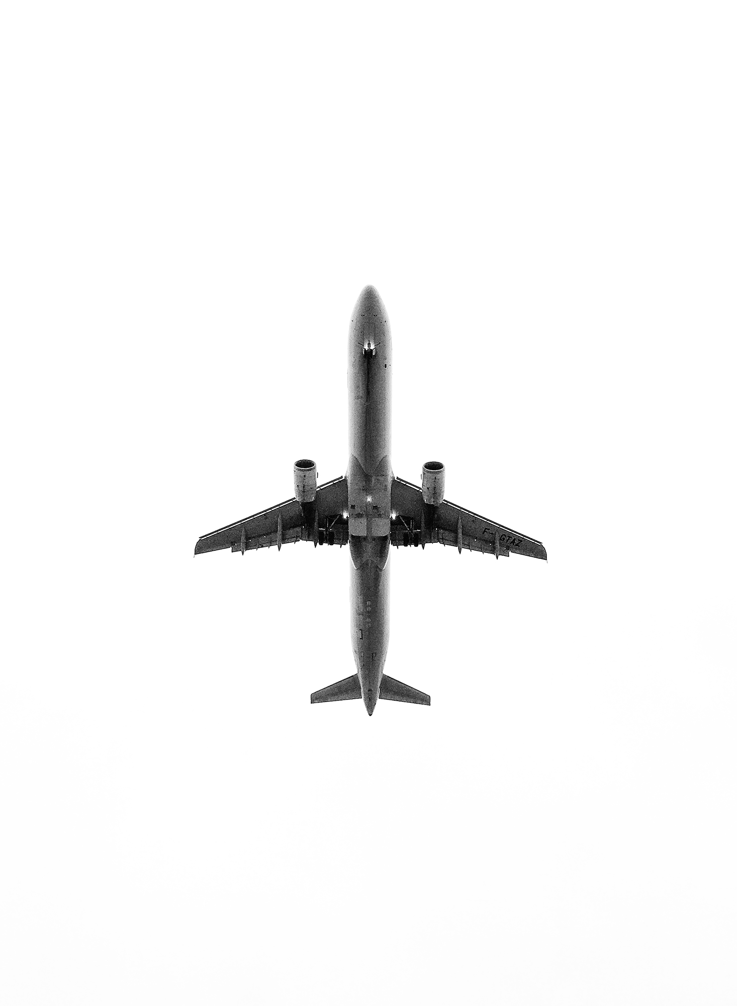 INTERIM — moderne ornithologie. 