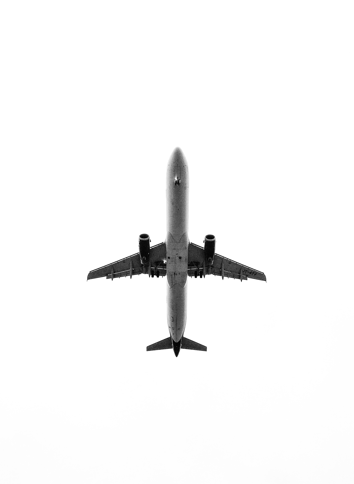 INTERIM — moderne ornithologie. 