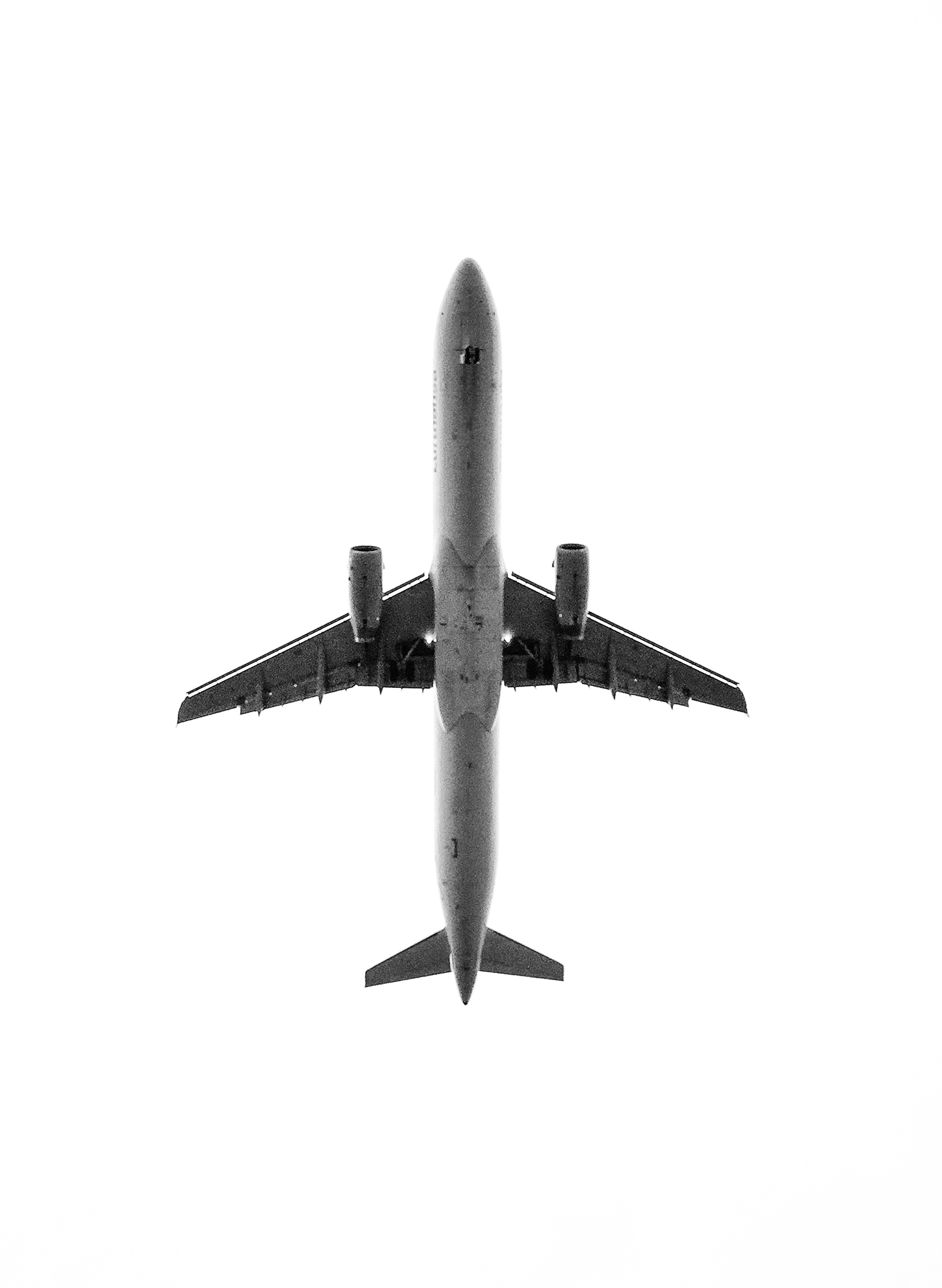 INTERIM — moderne ornithologie. 